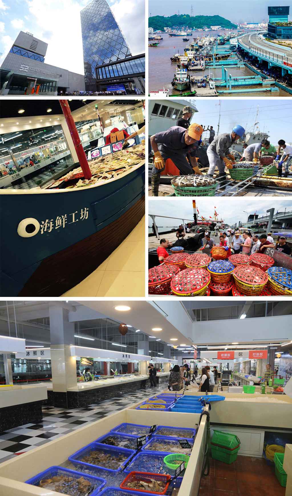 組合.jpg 組合.jpg