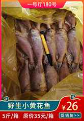 野生小黃花.jpg 野生小黃花.jpg